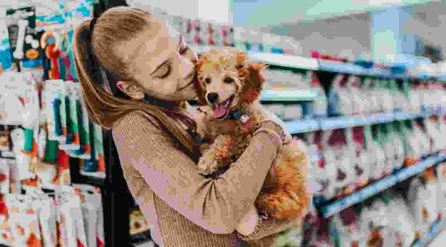 The Best Preventive Vaccination For Puppies